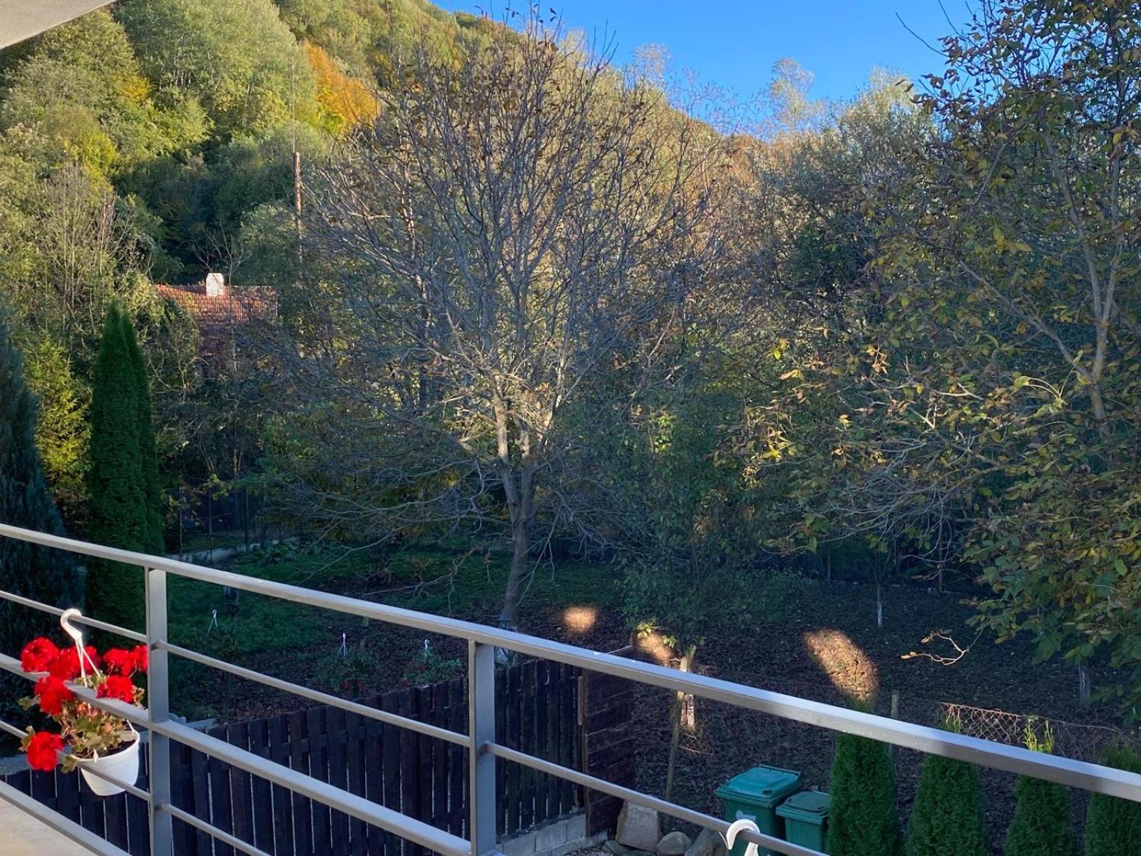 Vila Emma Rîşnov 외부 사진