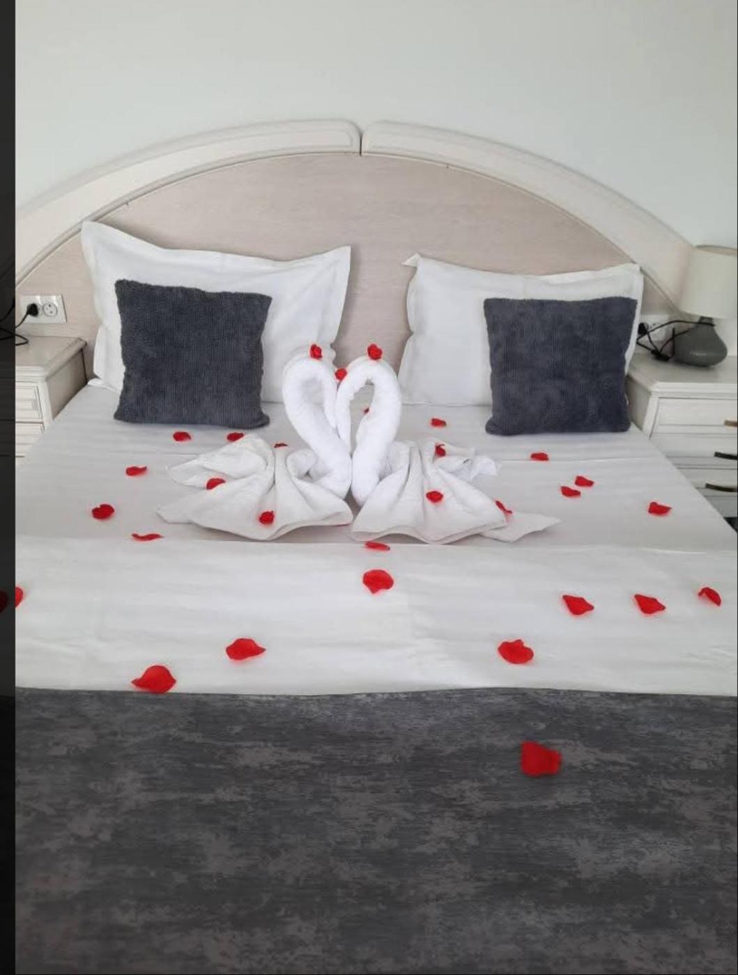 Vila Emma Rîşnov 외부 사진